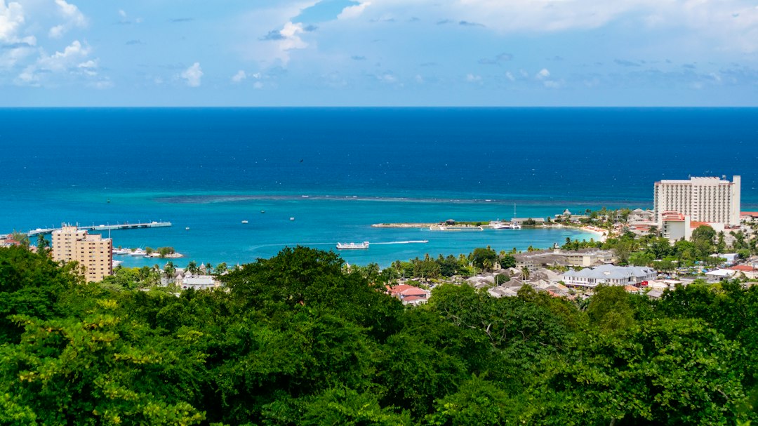 Fi mi